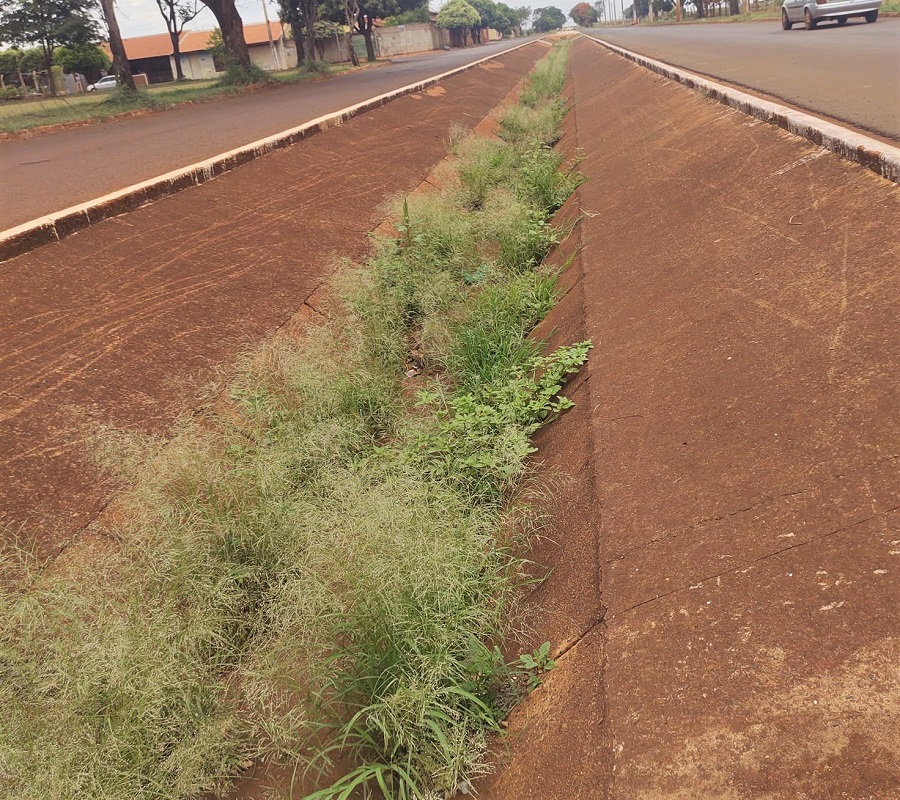 APÓS RECLAMAÇÃO, PREFEITURA LIMPA MATO QUE TOMAVA CONTA DE VALETA DE ÁGUAS PLUVIAIS NA COHAB 2