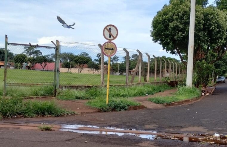 POPULAÇÃO VOLTA A PEDIR LIMPEZA DE PASSEIO PÚBLICO NO BAIRRO JOSÉ PUGLIESI, EM GUAÍRA