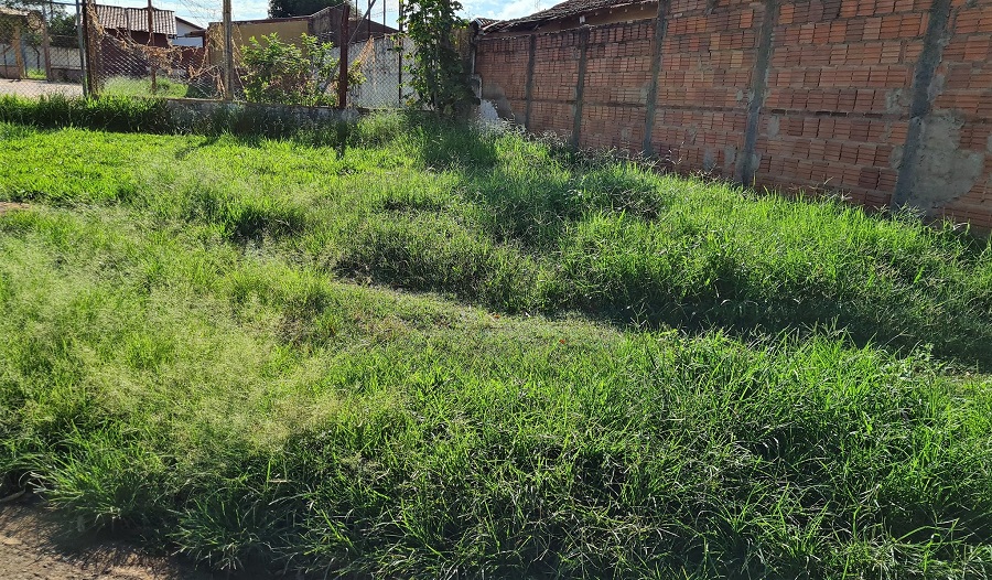 MORADORES COBRAM MANUTENÇÃO E ZELADORIA NA QUADRA DO BAIRRO CECAP, EM GUAIRA