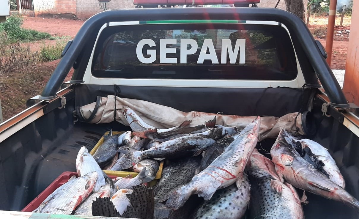 POLÍCIA AMBIENTAL RECUPERA PRODUTOS DE FURTO EM RANCHO DE PLANURA