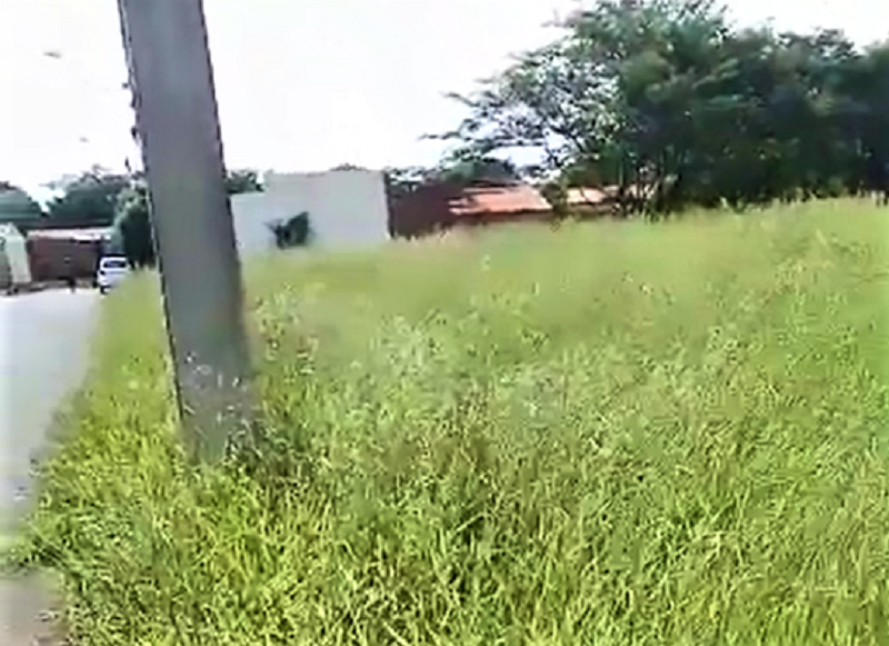 VÍDEO; MUNÍCIPE COBRA PREFEITURA DE GUAÍRA SOBRE LIMPEZA DE ÁREA PÚBLICA