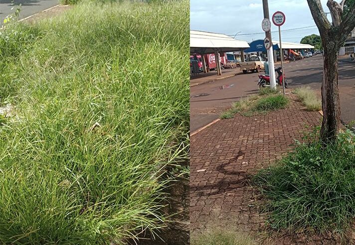 POPULAÇÃO PEDE LIMPEZA DE ESPAÇO PÚBLICO, EM GUAÍRA