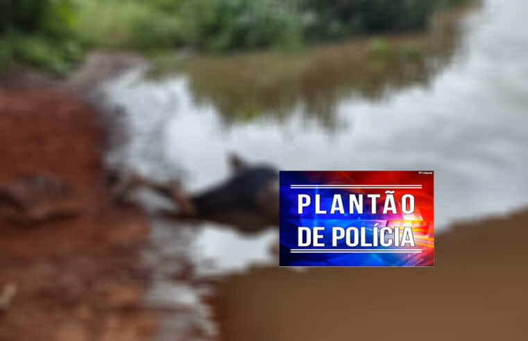 CORPO ENCONTRADO JUNTO A PONTE DO RIO PARDO ENTRE GUAÍRA E BARRETOS