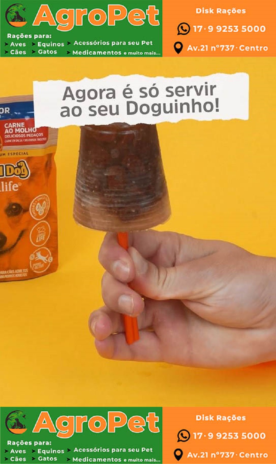 VÍDEO; DICA AGROPET DE GUAÍRA: APRENDA A FAZER O PICOLÉ DE SACHE PARA REFRESCAR O SEU PET. CONFIRA!!