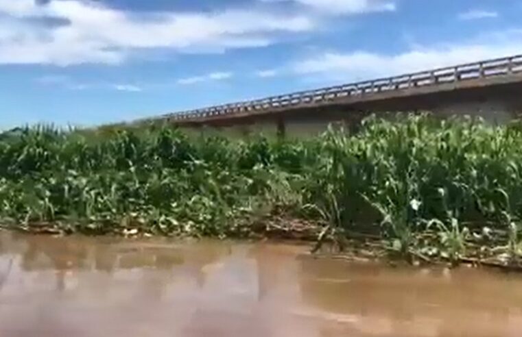 VÍDEO; FURNAS FAZ RETIRADA DE VEGETAÇÃO PARA DIMINUIR PRESSÃO SOBRE PONTE NO RIO GRANDE EM COLÔMBIA (SP)