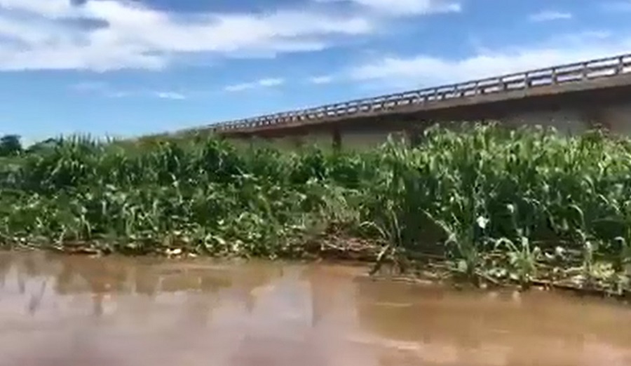 VÍDEO; FURNAS FAZ RETIRADA DE VEGETAÇÃO PARA DIMINUIR PRESSÃO SOBRE PONTE NO RIO GRANDE EM COLÔMBIA (SP)