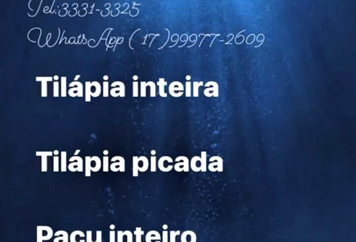 DOMINGO É DIA DE ASSADOS NO AÇOUGUE DUGAÚCHO.! DURANTE A QUARESMA CONFIRA AS OPÇÕES EM PEIXES. O SEU ALMOÇO DE FIM DE SEMANA ESTÁ NO AÇOUGUE DUGAUCHO!!