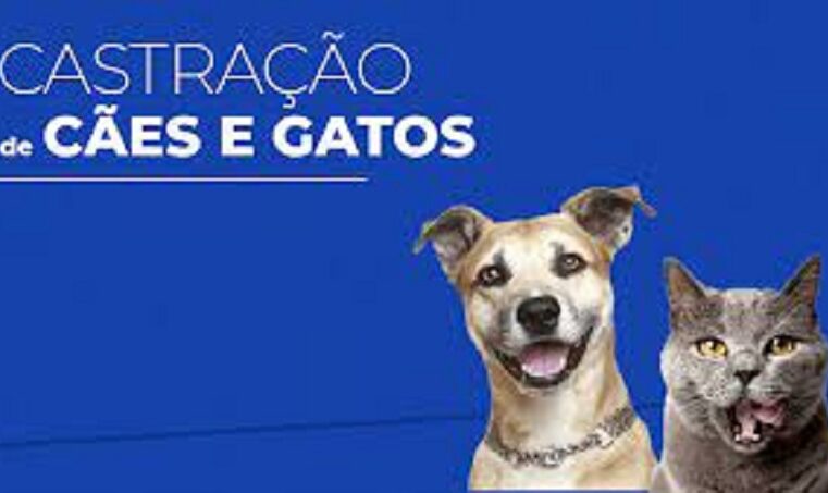 ATENÇÃO TUTORES GUAIRENSES: INSCRIÇÕES PARA CASTRAÇÕES DE CÃES E GATOS PODEM SER FEITAS NO CANIL MUNICIPAL