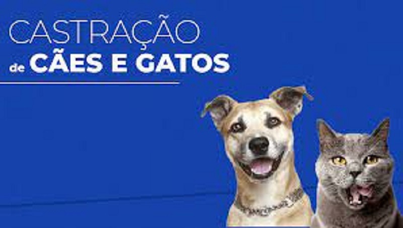 ATENÇÃO TUTORES GUAIRENSES: INSCRIÇÕES PARA CASTRAÇÕES DE CÃES E GATOS PODEM SER FEITAS NO CANIL MUNICIPAL