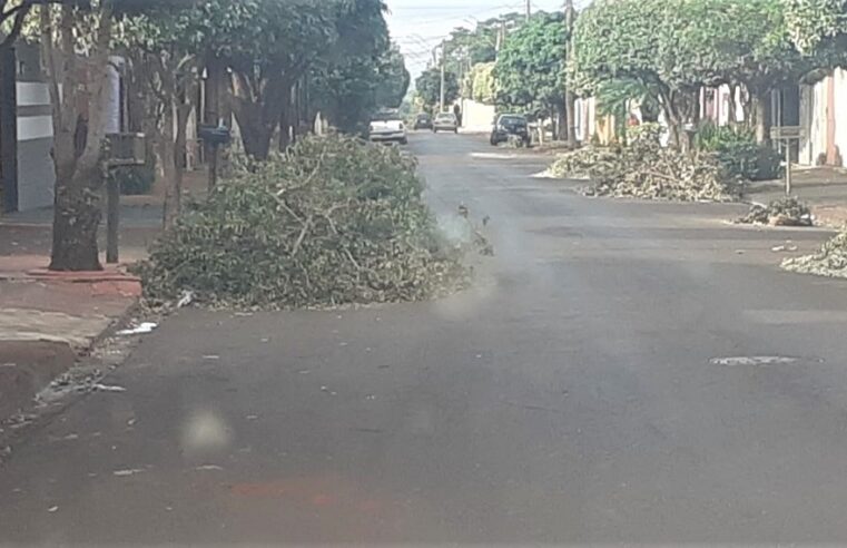 MORADORES PEDEM REMOÇÃO DE DETRITOS EM VIAS PÚBLICAS DE BAIRRO EM GUAÍRA