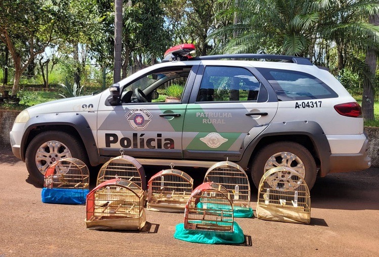 REGIÃO: HOMEM É MULTADO EM MAIS DE R$ 4 MIL POR MANTER AVES SILVESTRES EM CATIVEIRO