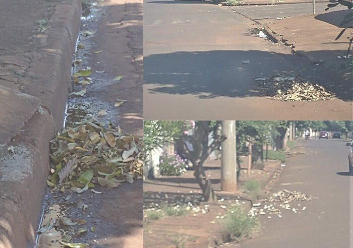 MORADORES DA VILA APARECIDA, EM GUAÍRA, PEDEM MELHORIAS NA LIMPEZA PÚBLICA