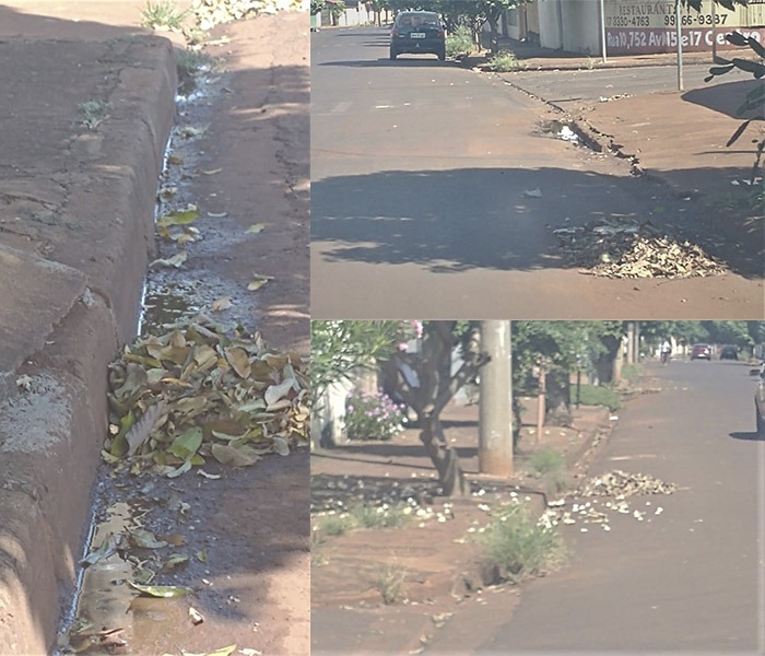 MORADORES DA VILA APARECIDA, EM GUAÍRA, PEDEM MELHORIAS NA LIMPEZA PÚBLICA