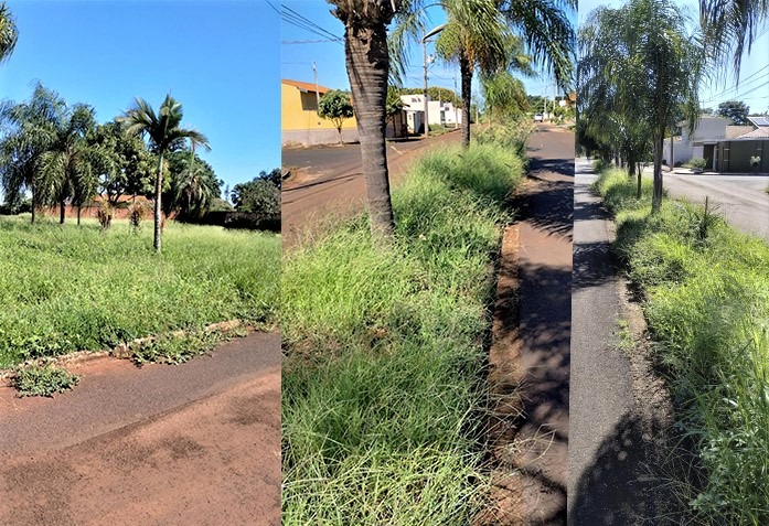 MORADORES RECLAMAM DE MATO ALTO EM VIAS PÚBLICAS DO BAIRRO MURAISHI, EM GUAÍRA