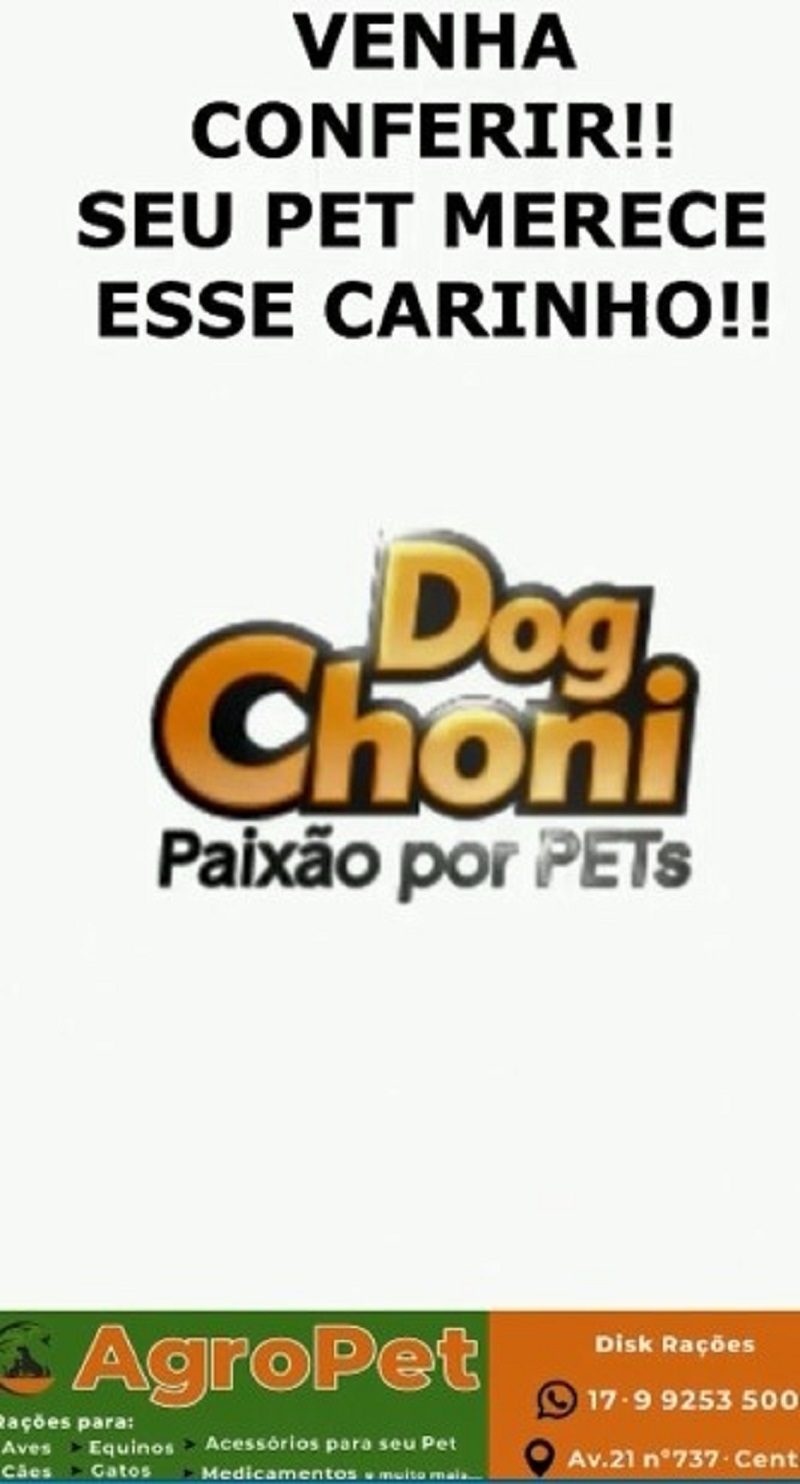 AGROPET COM MAIS UMA MEGA PROMOÇÃO EM RAÇÕES PARA CÃES E GATOS. PREÇOS ESPECIAIS NA RAÇÃO DOG CHONI. CONFIRA. AGROPET – SEU PET MERECE ESSE CARINHO!!!