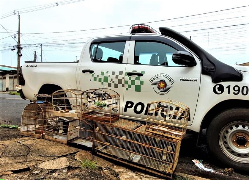 POLÍCIA AMBIENTAL AUTUA CRIADOR COM AVES NATIVAS EM CATIVEIRO SEM DOCUMENTAÇÃO