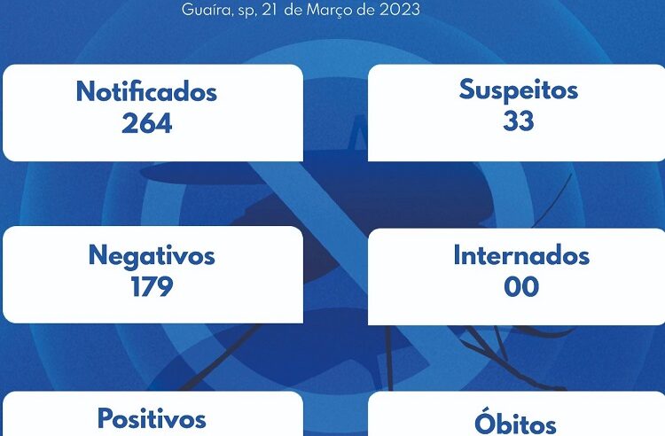 GUAÍRA ULTRAPASSA OS 50 CASOS POSITIVOS DE DENGUE EM 2023. JÁ SÃO MAIS DE 250 NOTIFICAÇÕES