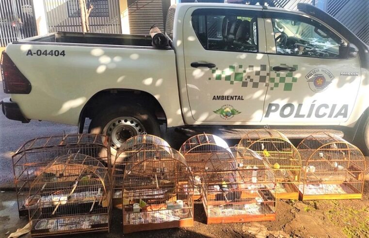 REGIÃO: POLÍCIA AMBIENTAL AUTUA CRIADOR POR MANTER AVES SILVESTRES EM CATIVEIRO