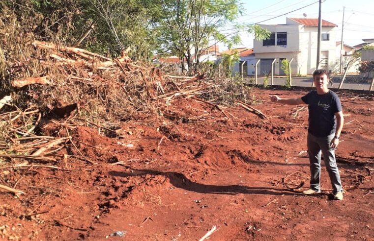 EXCLUSIVO: EM GUAÍRA: VEREADOR EDVALDO MORAIS, INDIGNADO, DIZ QUE DENUNCIARÁ AO MP SUPRESSÃO DE VEGETAÇÃO DA MATA DO TAÍS; VÍDEO