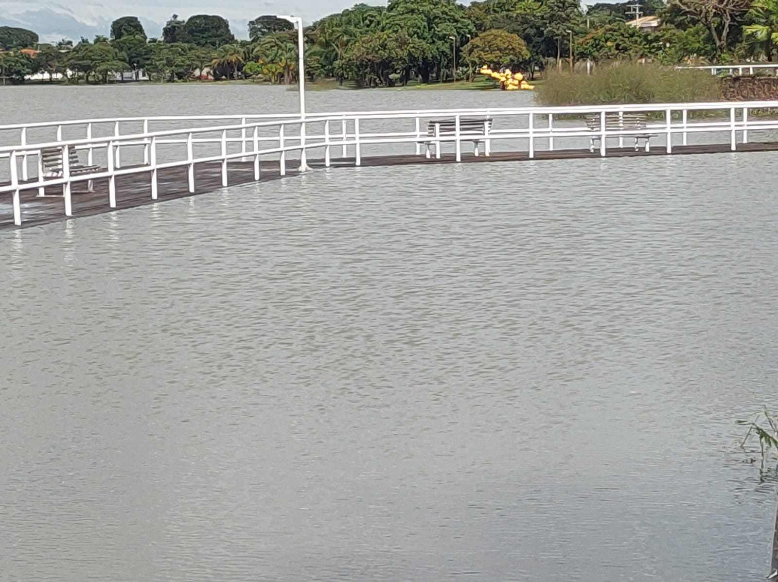 ACUMULADOS DE 60 MM CAUSAM TRANSBORDAMENTO DO LAGO MARACÁ, EM GUAÍRA