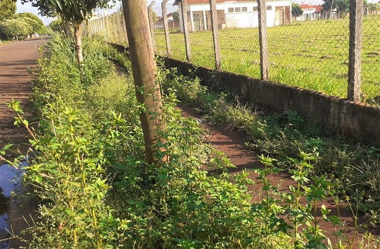 POPULAÇÃO VOLTA A RECLAMAR DE MATO ALTO EM ÁREA DA PREFEITURA NO BAIRRO JOSÉ PUGLIESI, EM GUAÍRA