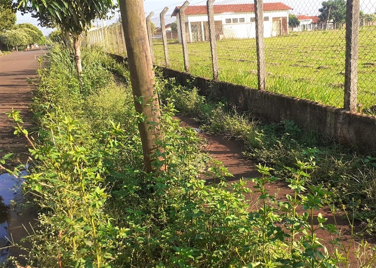 POPULAÇÃO VOLTA A RECLAMAR DE MATO ALTO EM ÁREA DA PREFEITURA NO BAIRRO JOSÉ PUGLIESI, EM GUAÍRA