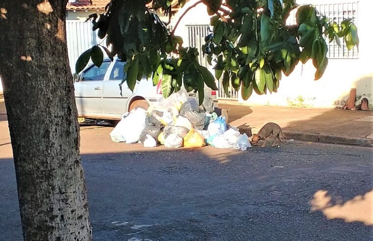 POPULAÇÃO RECLAMA DO SISTEMA DE COLETA DE LIXO EM GUAÍRA