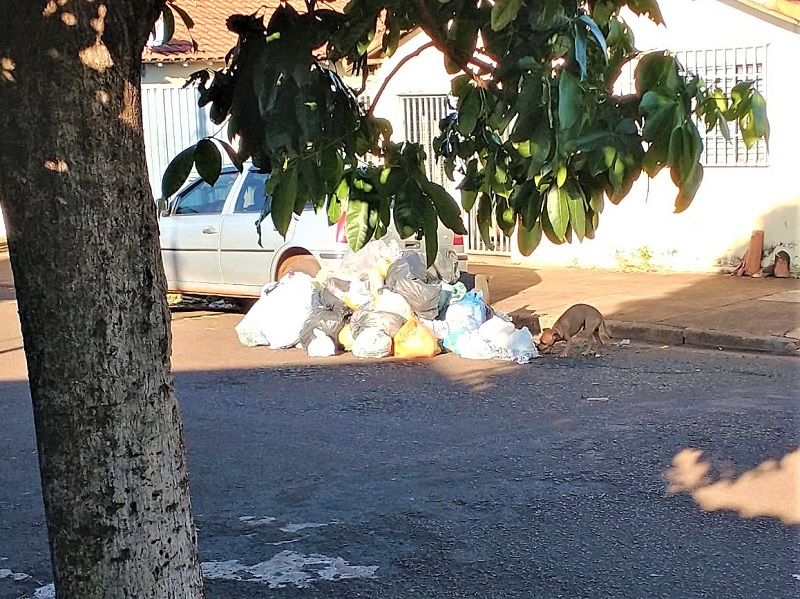 POPULAÇÃO RECLAMA DO SISTEMA DE COLETA DE LIXO EM GUAÍRA