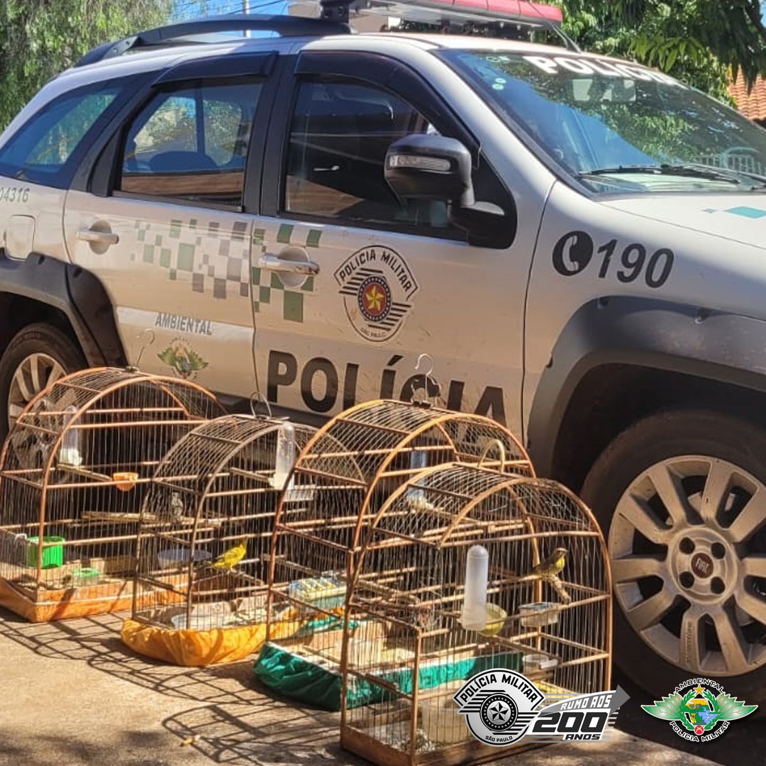 OPERAÇÃO CURUMIM DA POLÍCIA AMBIENTAL RESULTA EM QUASE R$ 100 MIL EM MULTAS E QUASE 200 AVES APREENDIDAS NA REGIÃO