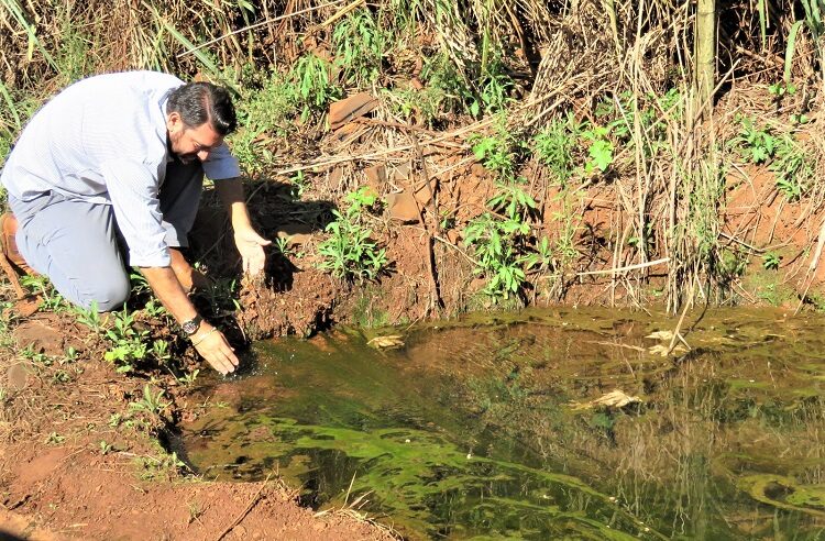 MEIO AMBIENTE: VEREADOR ANDRÉ GREGÓRIO SOLICITA QUE DEPARTAMENTO DE MEIO AMBIENTE TOME MEDIDAS PARA PRESERVAR NASCENTE, EM GUAÍRA