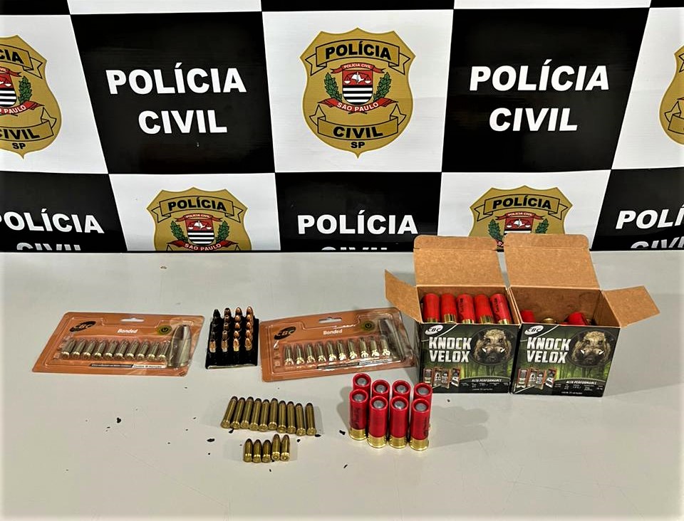 POLÍCIA CIVIL REALIZA APREENSÃO DE MUNIÇÕES EM OCORRÊNCIA DE VIOLÊNCIA DOMÉSTICA, EM COLINA