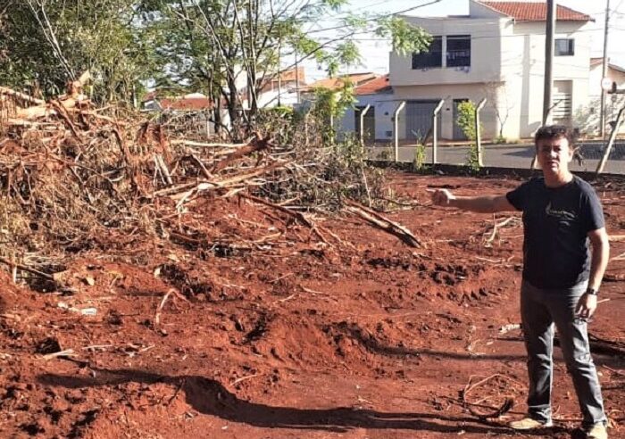 EDVALDO MORAIS OFICIA PREFEITURA DE GUAÍRA POR ESCLARECIMENTOS SOBRE SUPRESSÃO DE VEGETAÇÃO DA MATA DO TAÍS