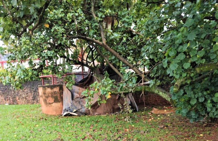 ACAMPAMENTO IMPROVISADO É MONTADO NO PARQUE MARACÁ EM GUAÍRA