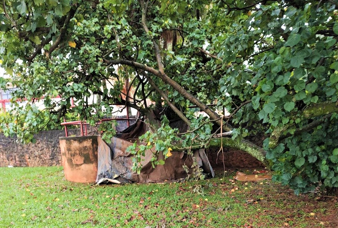 ACAMPAMENTO IMPROVISADO É MONTADO NO PARQUE MARACÁ EM GUAÍRA