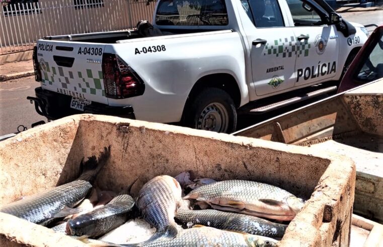 PESCADOR É AUTUADO AO APRESENTAR CARTEIRA PROFISSIONAL SEM VALIDADE EM COLÔMBIA