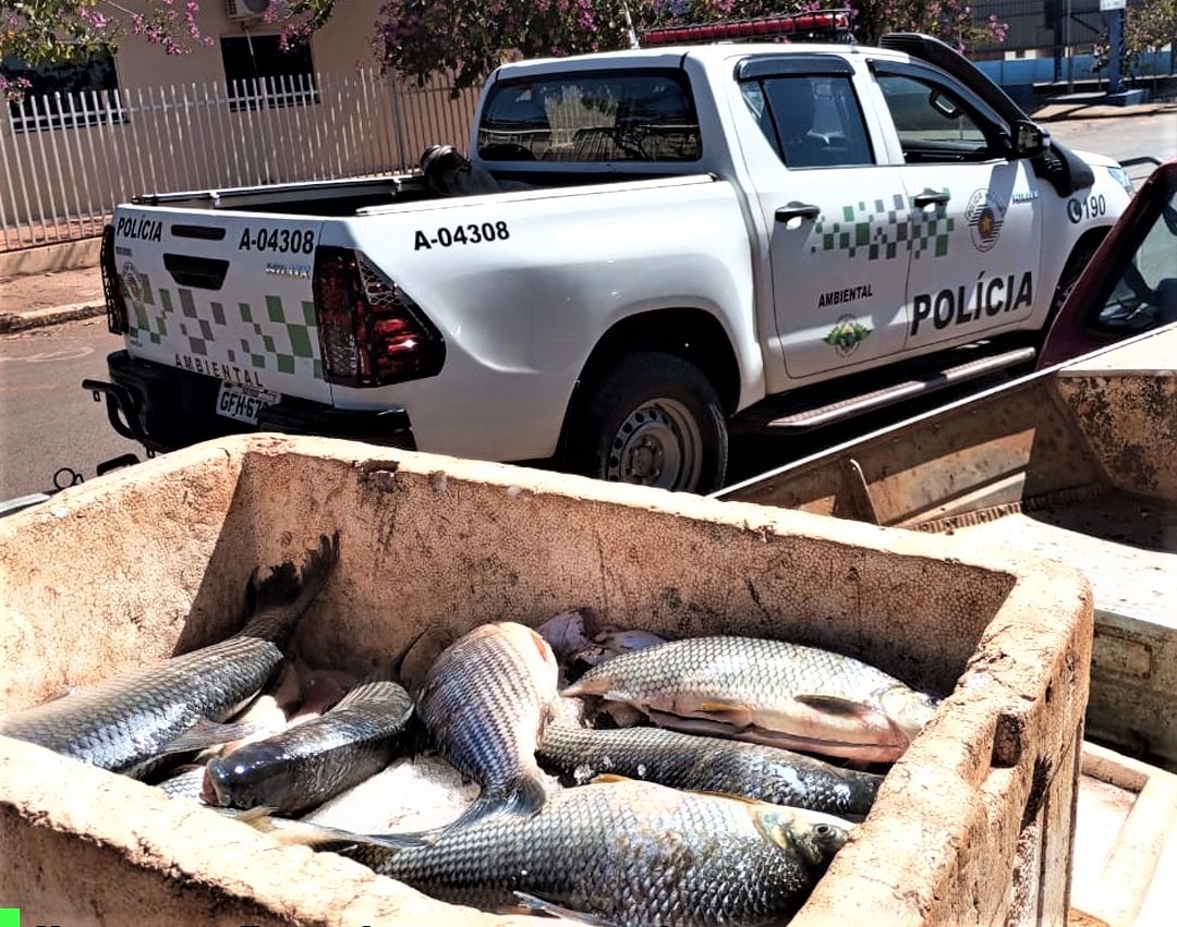 PESCADOR É AUTUADO AO APRESENTAR CARTEIRA PROFISSIONAL SEM VALIDADE EM COLÔMBIA