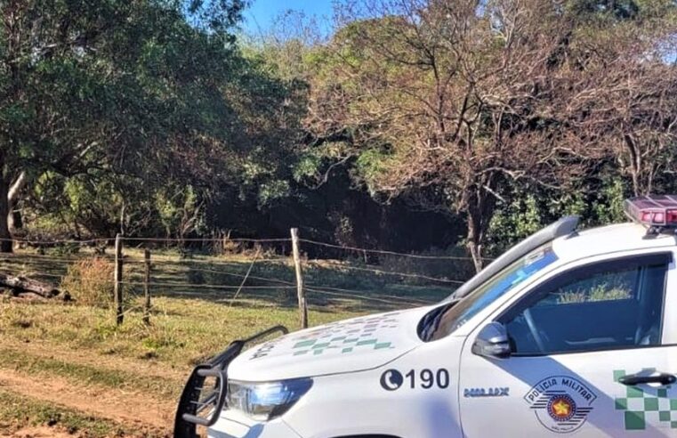 EM BARRETOS POLÍCIA AMBIENTAL FAZ AUTUAÇÃO POR CRIAÇÃO DE GADO EM ÁREA DE PRESERVAÇÃO