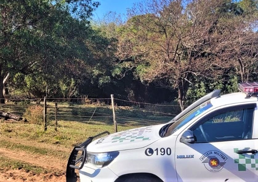 EM BARRETOS POLÍCIA AMBIENTAL FAZ AUTUAÇÃO POR CRIAÇÃO DE GADO EM ÁREA DE PRESERVAÇÃO