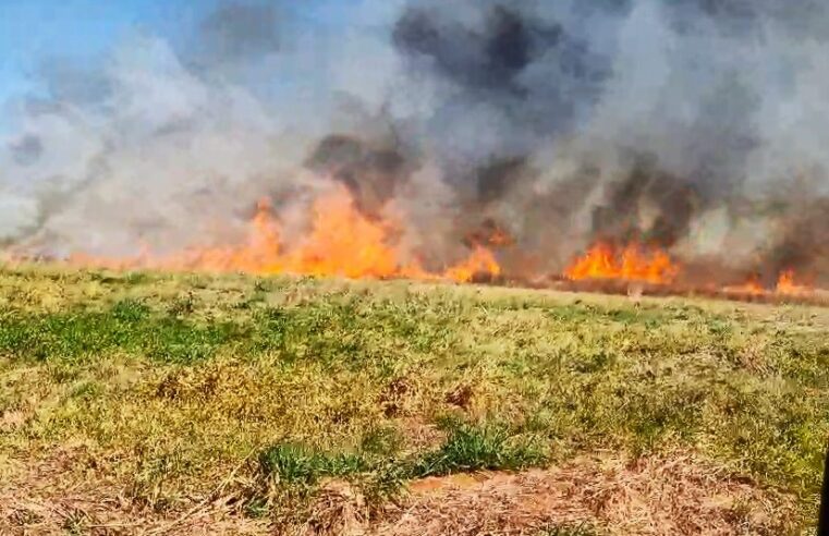 VÍDEO; INCÊNDIO EM ÁREA PRÓXIMA A AEROPORTO MOBILIZA DIVERSAS EQUIPES DE COMBATE EM BARRETOS