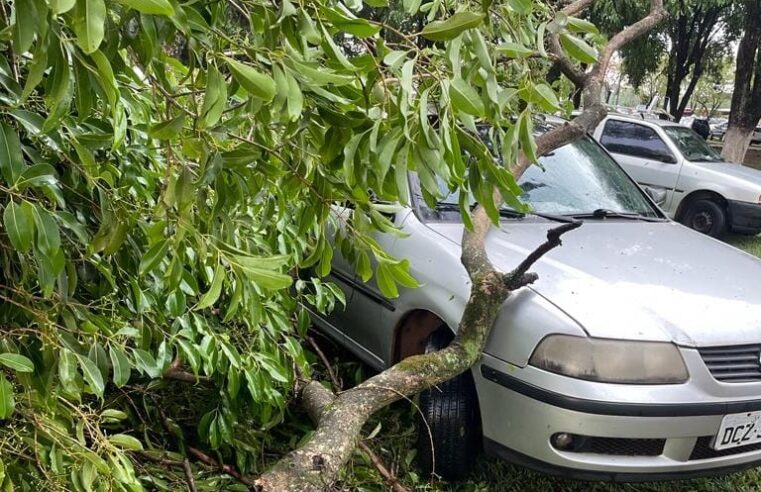 TEMPORAL ATINGE BARRETOS NESTE DOMINGO E CAUSA PREJUÍZOS