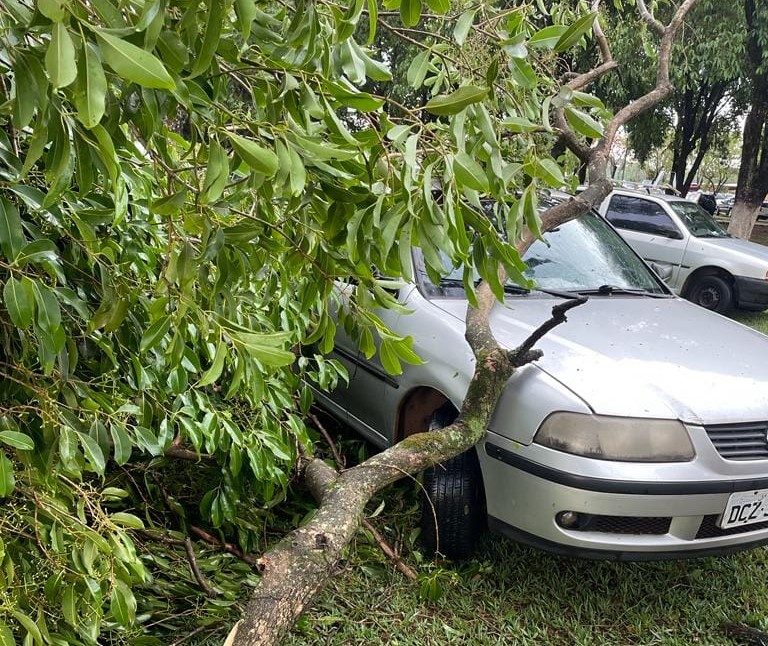 TEMPORAL ATINGE BARRETOS NESTE DOMINGO E CAUSA PREJUÍZOS