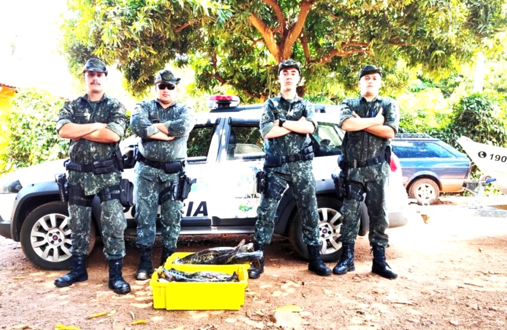 MAIS DE 40 KGS DE PEIXES, COM TAMANHOS INFERIORES AO PERMITIDO SÃO APREENDIDOS EM COLÔMBIA (SP)