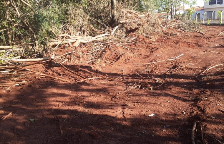 EXCLUSIVO: POLÍCIA AMBIENTAL CONFIRMA MULTA AO MUNICÍPIO DE GUAÍRA E AÇÃO DE INVESTIGAÇÃO DE DANOS AMBIENTAIS POR DESMATAMENTO NA MATA DO TAÍS