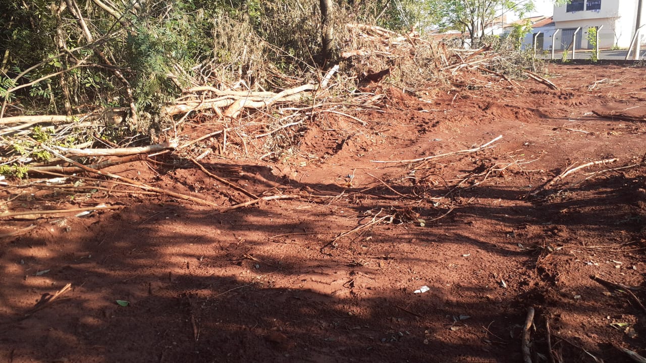 EXCLUSIVO: POLÍCIA AMBIENTAL CONFIRMA MULTA AO MUNICÍPIO DE GUAÍRA E AÇÃO DE INVESTIGAÇÃO DE DANOS AMBIENTAIS POR DESMATAMENTO NA MATA DO TAÍS