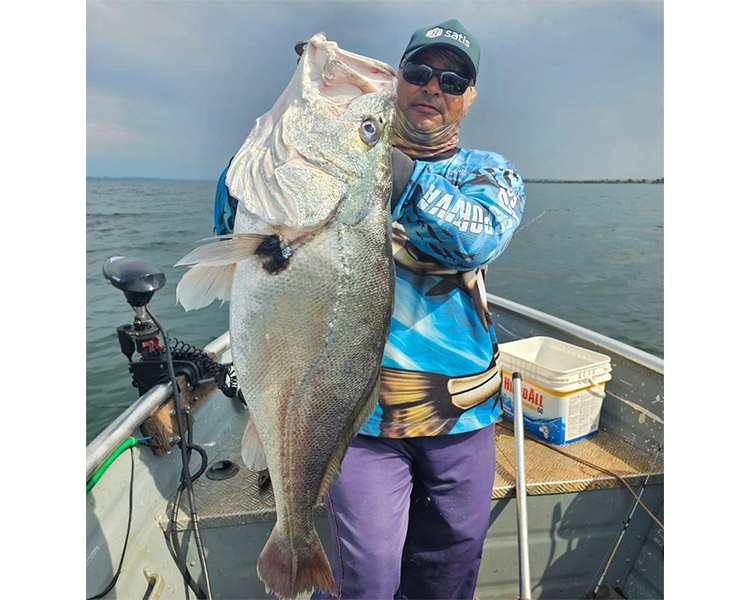 ATÍPICO: PESCADOR FISGA ENORME CORVINA DE ÁGUA DOCE NO RIO GRANDE, EM MIGUELÓPOLIS