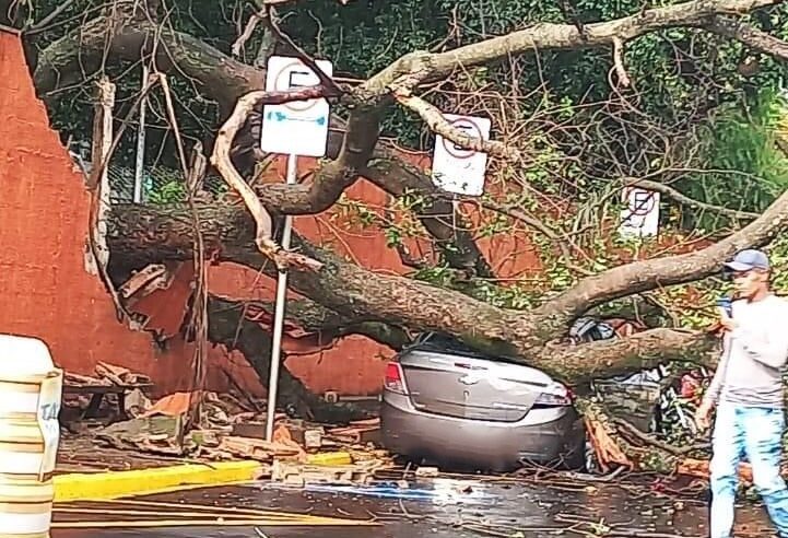 CHUVA INTENSA E VENTOS FORTES CAUSAM ESTRAGOS EM BARRETOS