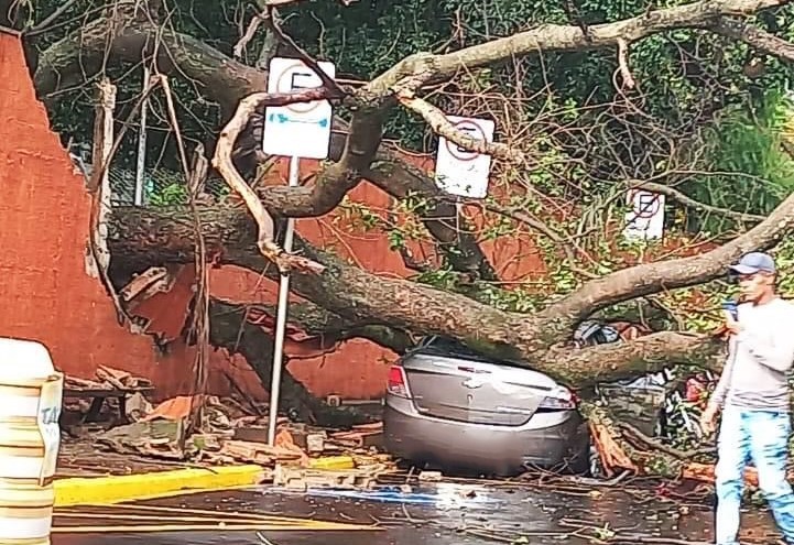 CHUVA INTENSA E VENTOS FORTES CAUSAM ESTRAGOS EM BARRETOS