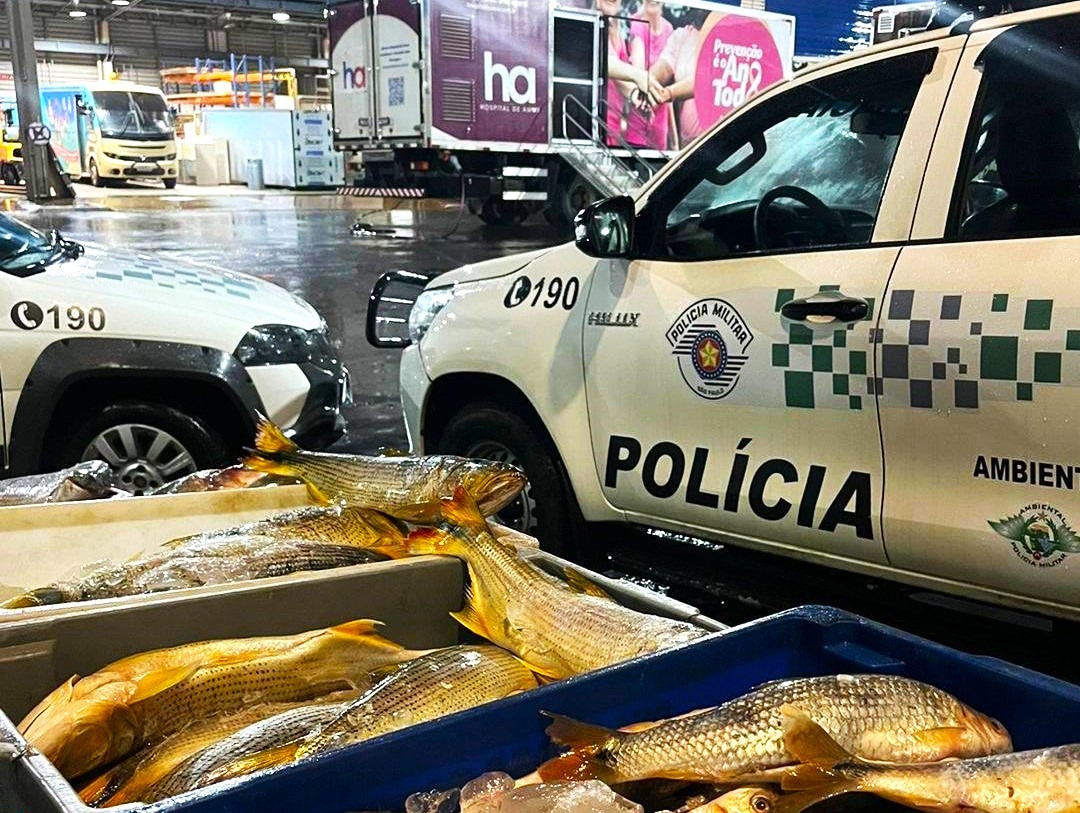 MOTORISTA É AUTUADO, EM BARRETOS, PELA POLÍCIA AMBIENTAL PELO TRANSPORTE CLANDESTINO DE MAIS DE MEIA TONELADA DE PEIXES