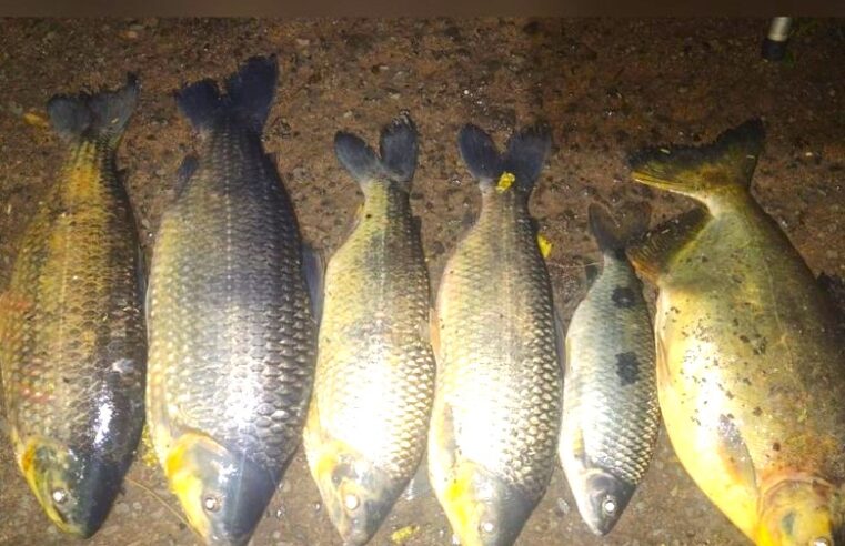 PESCADOR É AUTUADO POR PESCA PRÓXIMA À BARRAGEM NO RIO GRANDE