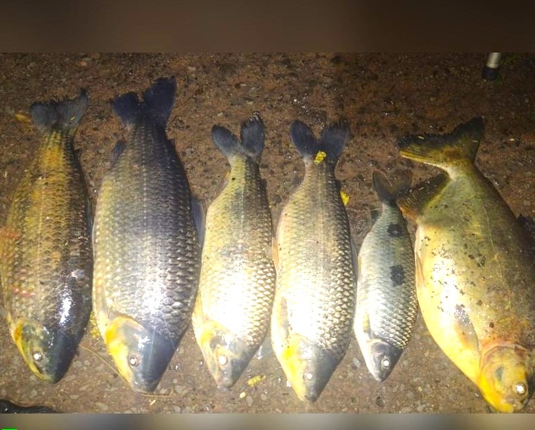 PESCADOR É AUTUADO POR PESCA PRÓXIMA À BARRAGEM NO RIO GRANDE